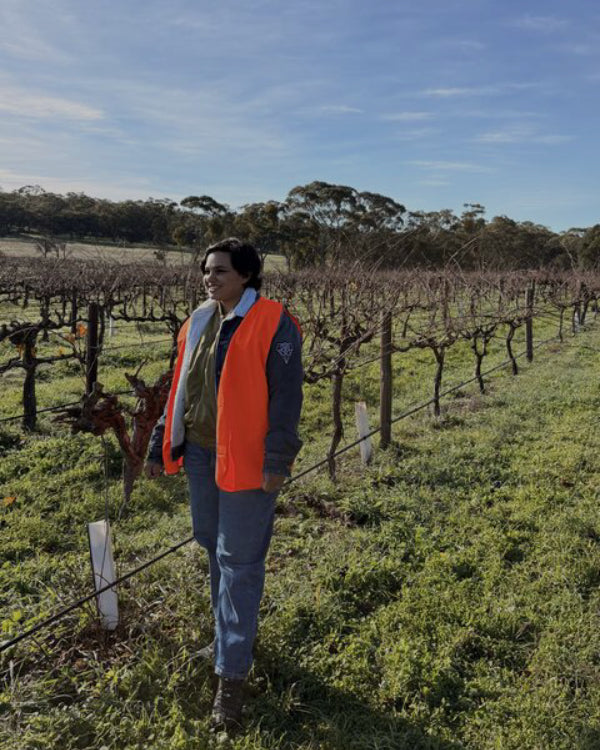Experiencing two world-renowned wine regions