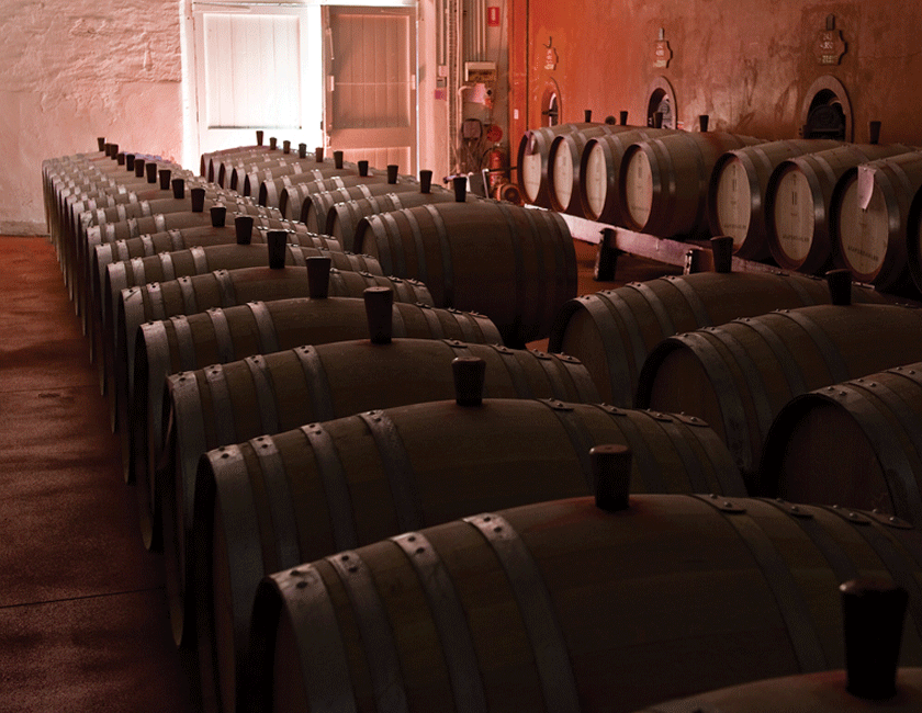 Penfolds Named Winery of The Year