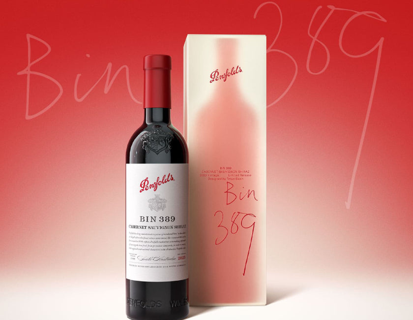 Bin 389 Designed by Troye Sivan