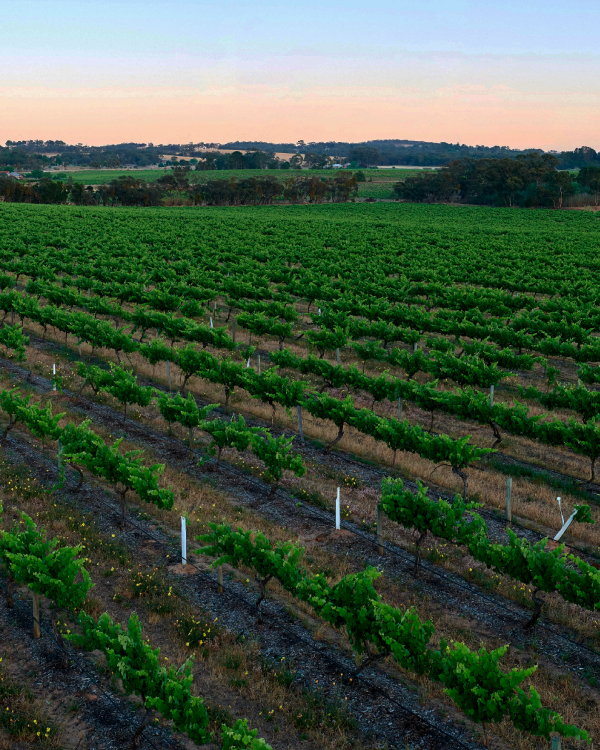 Water management practices